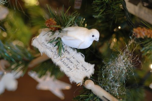 kersf6-11-16-2008-5-01-01-pm