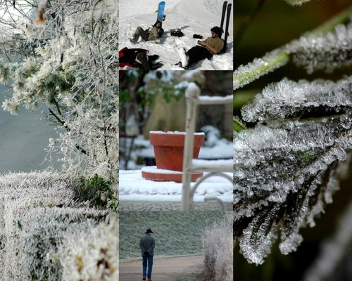 collagewinter08-12-20-2008-6-23-39-pm-12-20-2008-6-23-39-pm