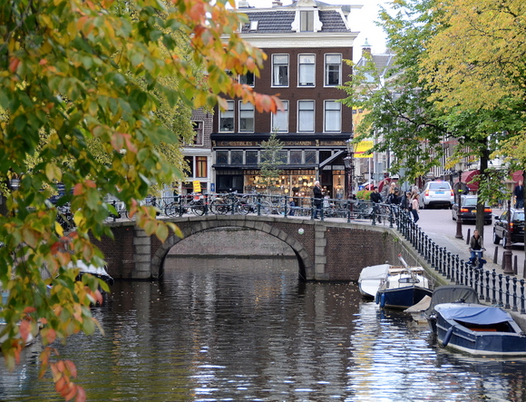 Ams 24