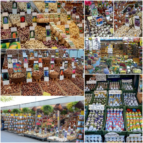 Amsterdam bulbs-collage