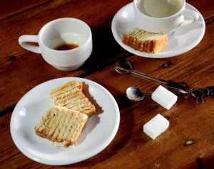 Easy caramel squares