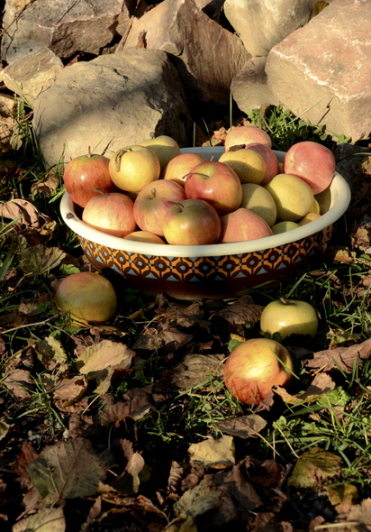 Fall apples