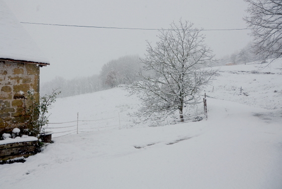 neige 2013-012