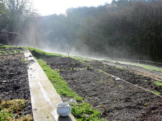 printemps 20 3655x2738