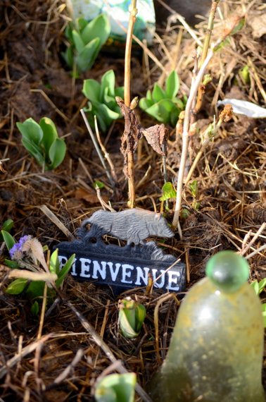 printemps 26 3264x4928