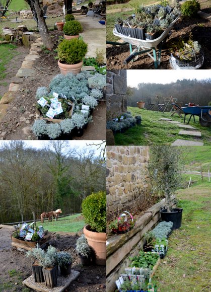 printemps coll é 3698x5120