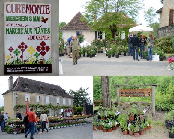 curemonte collage 4 5120x4096