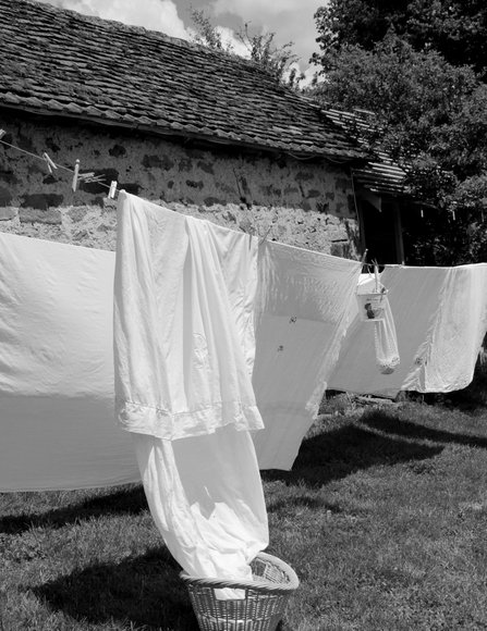 xashing day 1 3030x3933