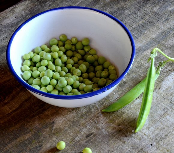 Petit pois 2 3421x3015