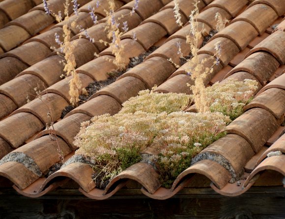 Provence 2013 27-06-2013 18-53-28 4928x3264