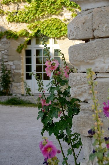 Provence 2013 27-06-2013 19-08-22 3264x4928
