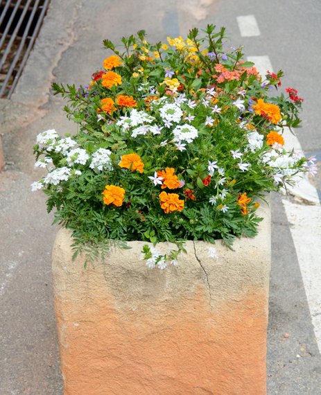 Provence 2013 28-06-2013 12-48-38 3165x3896