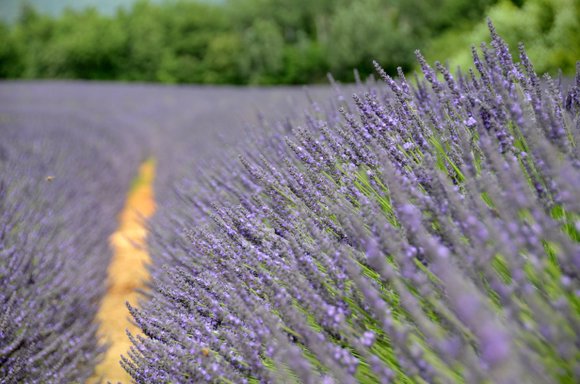 Provence 2013 28-06-2013 13-33-13 4928x3264