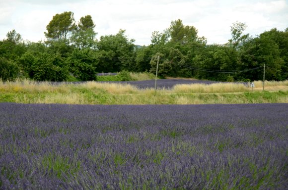 Provence 2013 28-06-2013 13-34-10 4928x3264