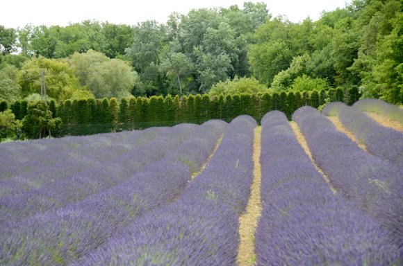 Provence 2013 28-06-2013 13-44-51 4928x3264