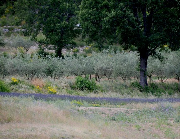 Provence 2013 28-06-2013 14-27-43 4198x3244