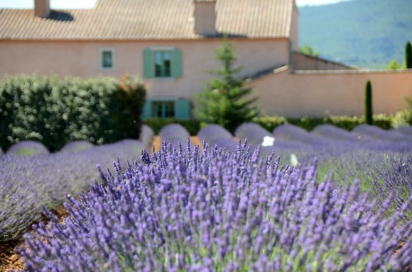 Provence 2013 29-06-2013 10-50-08 4928x3264
