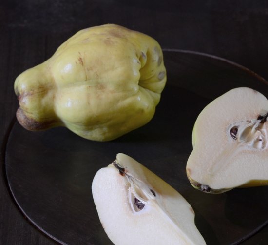 quince 1 12-10-2013 11-50-024