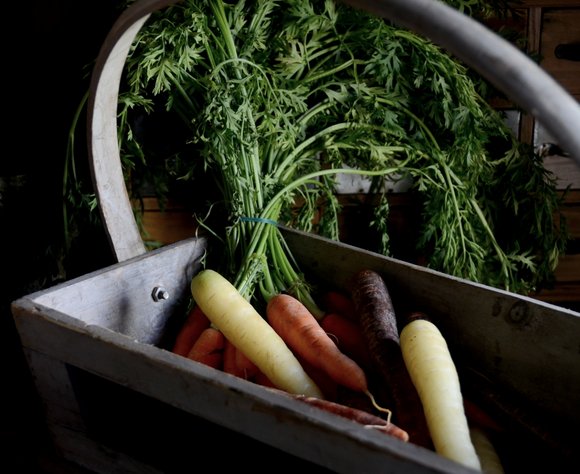 rainbow carrots 28-10-2013 12-24-13 3963x3234