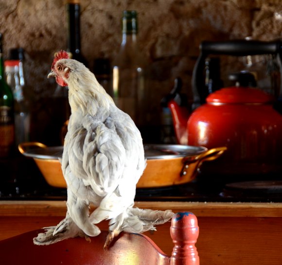 summer 2013 25-08-2013 18-41-23 3421x3218