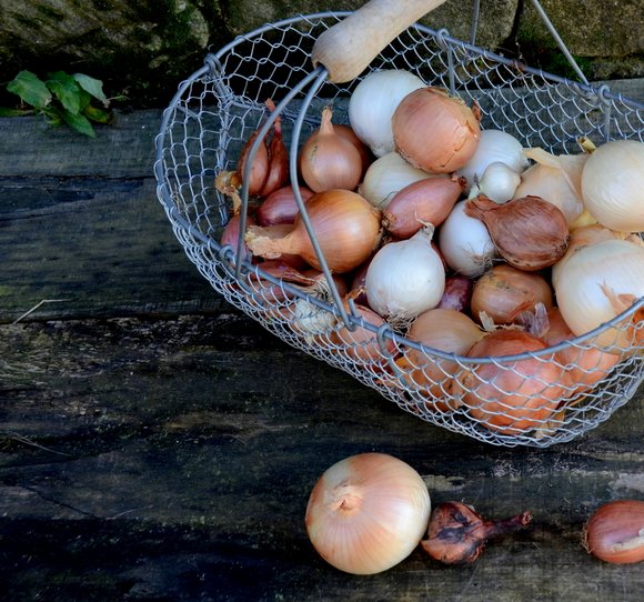 Onion soup 1 3314x3096 3314x3096