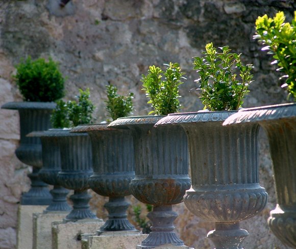 garden 2008 1817x1530