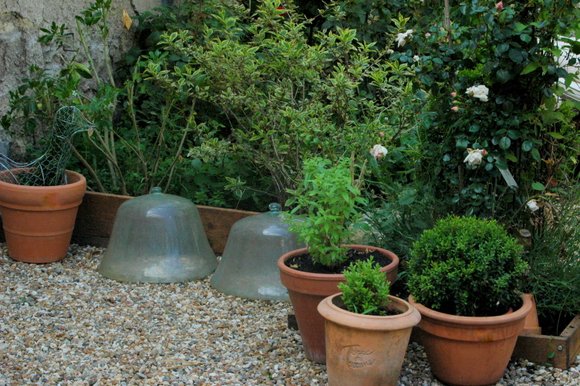 garden 2008 3008x2000-001