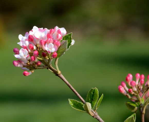 Printemps 2014 3494x2862