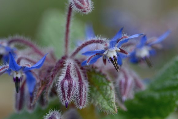 Printemps 2014 3850x2572