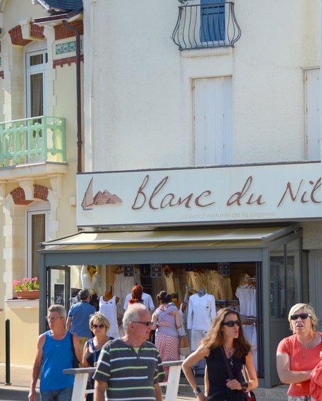 Bretagne in June  2899x3614