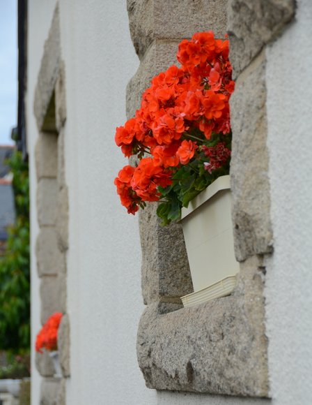 Bretagne in June  3264x4225