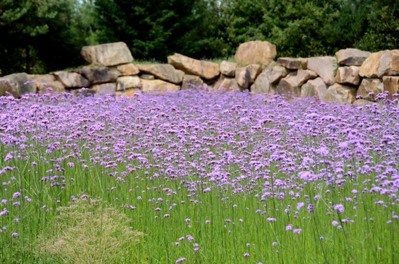 les jardins de Colette 4928x3264-005