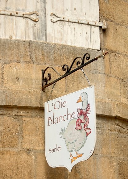 board signs 1813x2536