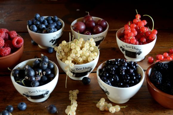 fruit rouges et fromages aux nopix 3750x2502