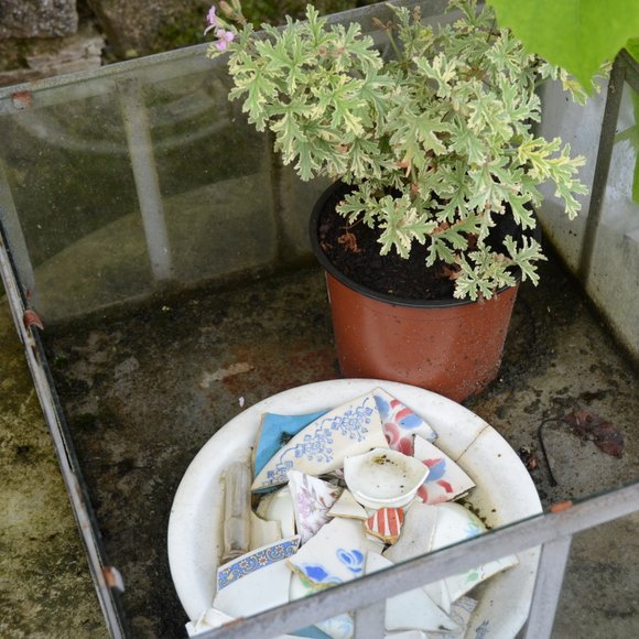 Jardin Juillet 2014 3136x3137