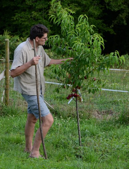 Jardin Juillet 2014 3244x4264