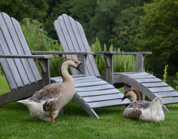 Jardin Juillet 2014 4126x3224