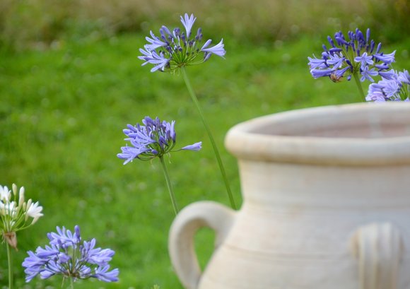 Jardin Juillet 2014 4613x3254