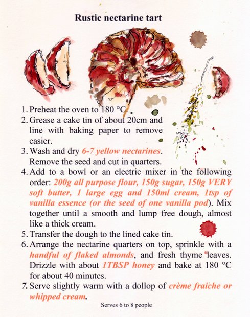 tarte aux nectarines recipe-001