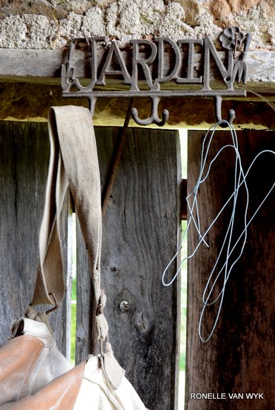 October scenes 2448x3648