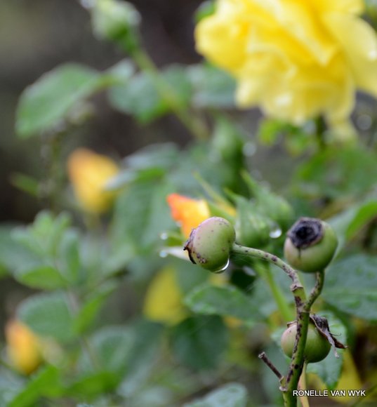 October scenes 2821x3049