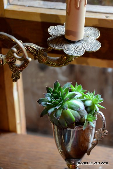 October scenes 2876x4310