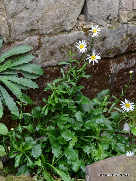 October scenes 3026x4008