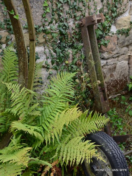 October scenes 3091x4137