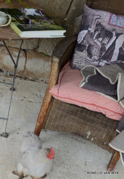 October scenes 3219x4645