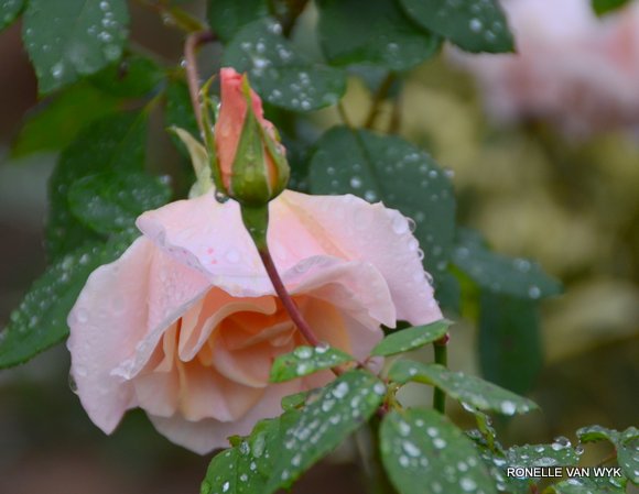 October scenes 3585x2770