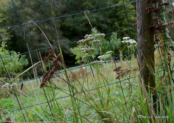 October scenes 4583x3234