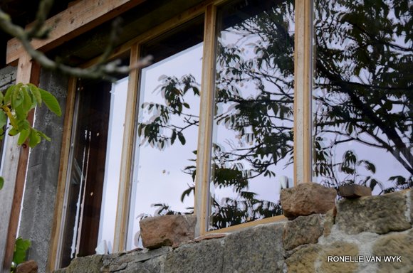 October scenes 4928x3264-001