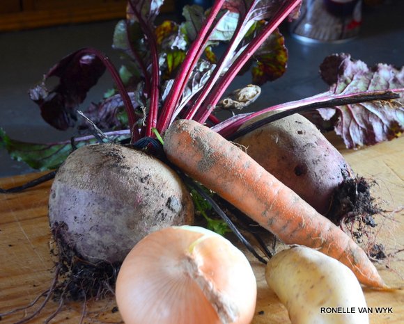 Ronelle's photography-beetroot-005
