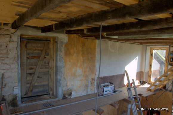 doors of my house.NEF-003